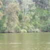 Bents Basin, Gulger, Nepean River